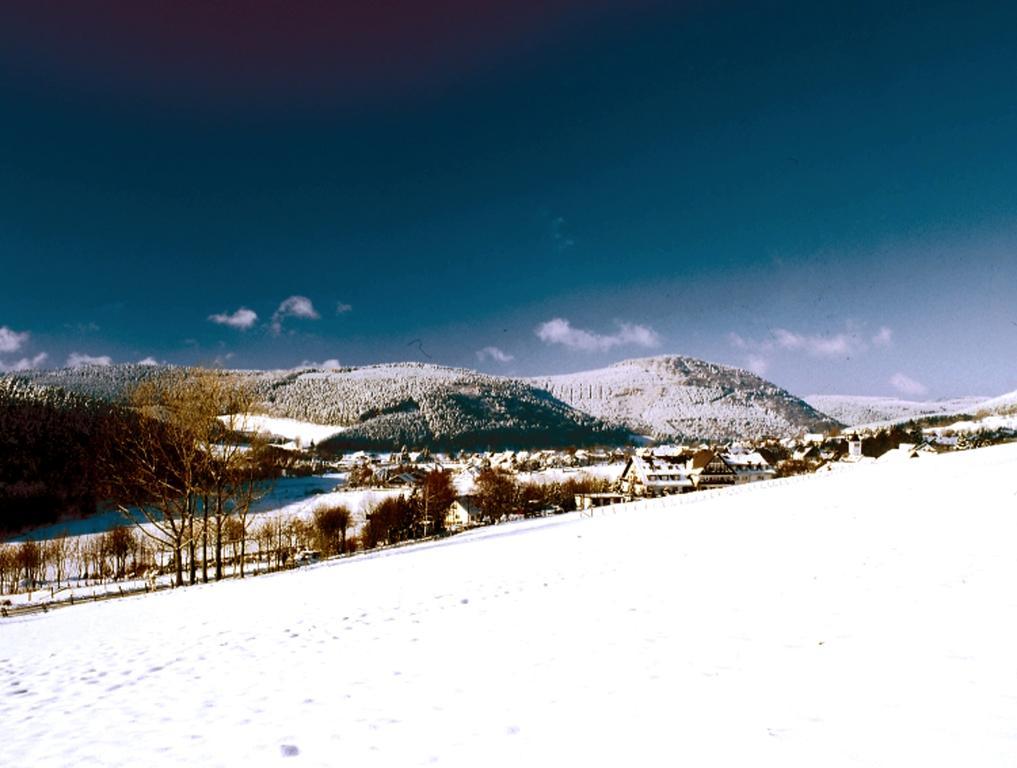 Heidehotel Hildfeld Winterberg Ngoại thất bức ảnh