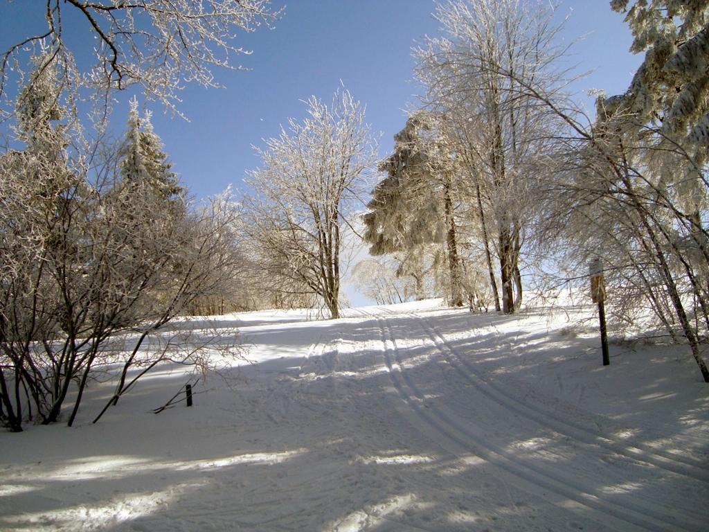Heidehotel Hildfeld Winterberg Ngoại thất bức ảnh