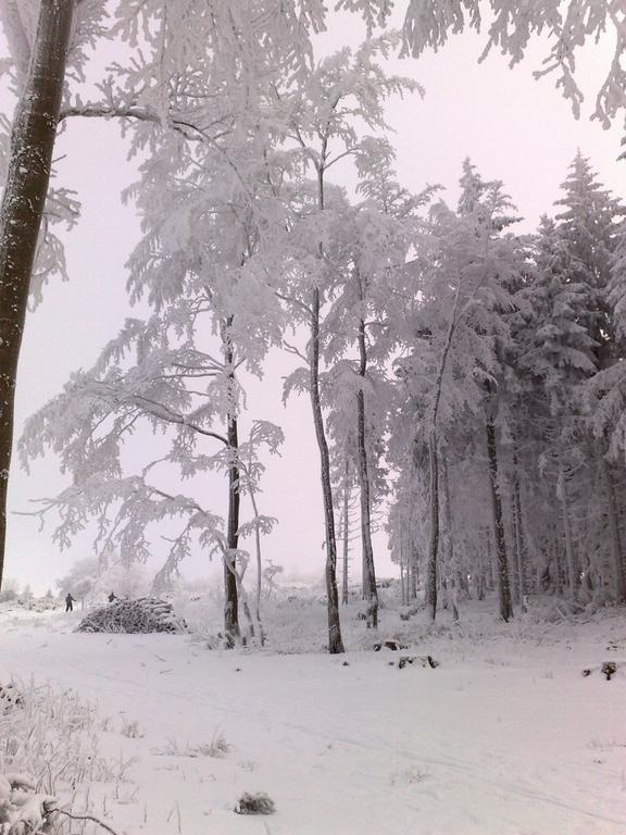 Heidehotel Hildfeld Winterberg Ngoại thất bức ảnh