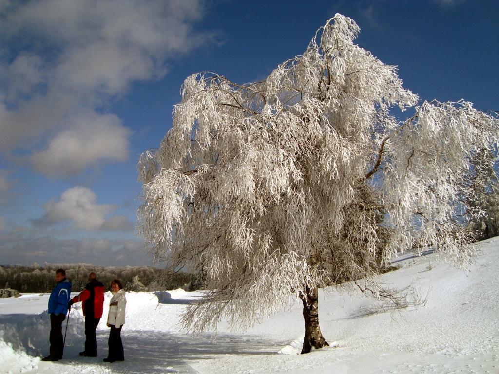 Heidehotel Hildfeld Winterberg Ngoại thất bức ảnh